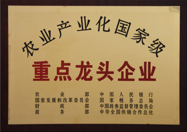 重點龍頭企業